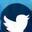 X (Twitter)